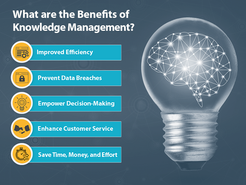 Knowledge Management Banner knowledge-management-banner