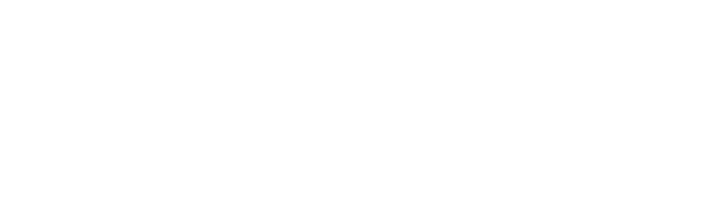 IDLS-Logo-White