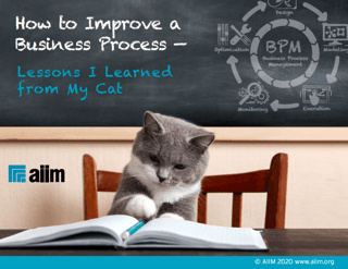 How to Improve a Business Process Lessons I Learned from My Cat Cover
