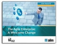 The Agile Enterprise