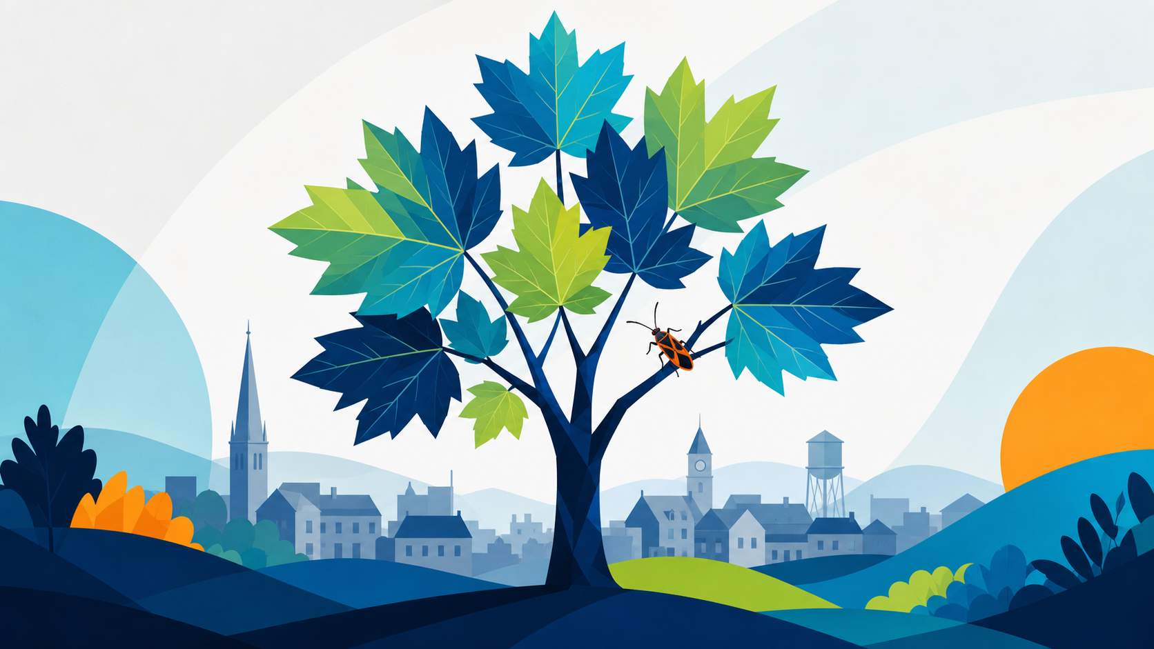 The Box Elder Problem: The Misunderstood Value of the RIM Practice
