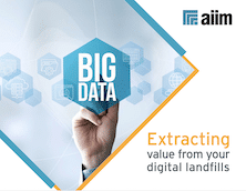 Big Data - Extracting Value from Your Digital Landfills