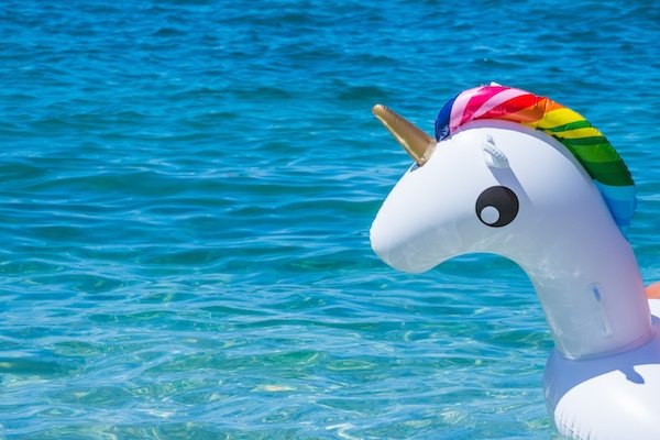 The Emergence of the Elusive Digital Unicorn: How Digital Disruption Is Breeding New Roles within the Project and Business Landscape